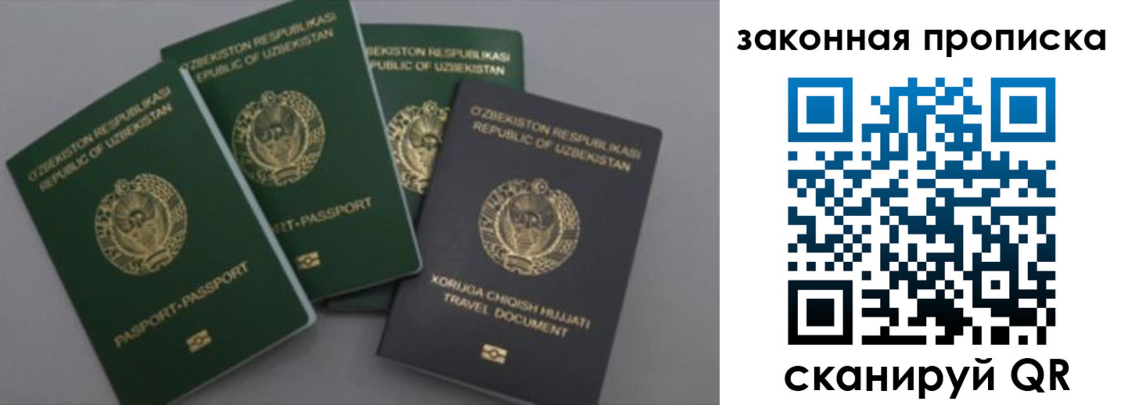 прописка законно в Михайловке